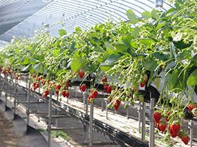 空家管理活用センター 家屋外部管理