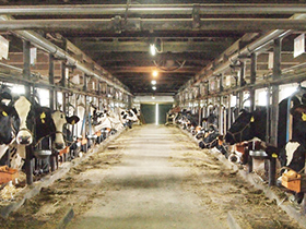 空家管理活用センター 家屋外部管理