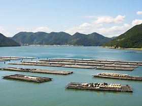 空家管理活用センター 家屋内部管理